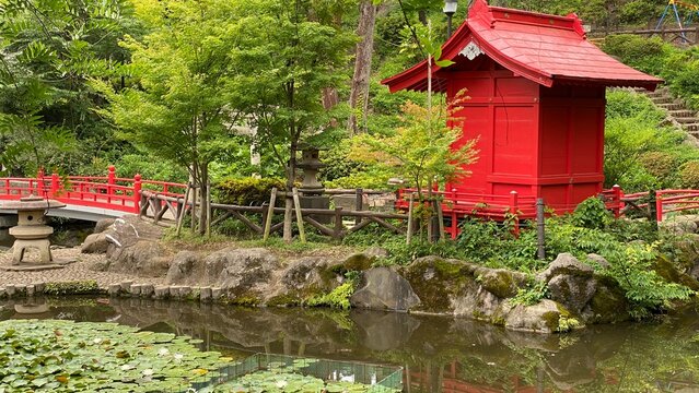 A little red hut shrine with pond, Japanese domestic life scenery, year 2022 June 16th
