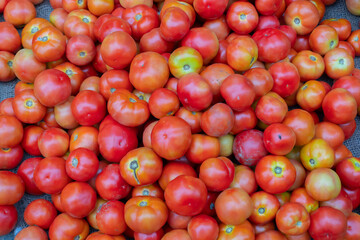 Fresh ripe red tomatoes - vegetables for sale in a market in Territy Bazar, Kolkata, West Bengal, India. The tomato is the edible, red berry of the plant Solanum lycopersicum, known as a tomato plant.