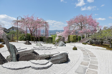 春の円光寺　庭園としだれ桜　京都市左京区一乗寺