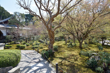 春の円光寺　十牛之庭　京都市左京区一乗寺