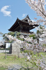 Fototapeta premium 春の清涼寺 仁王門 京都市右京区嵯峨