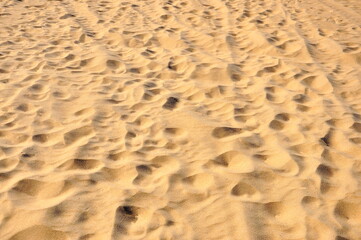 Close up. Beach sand texture in summer sun.