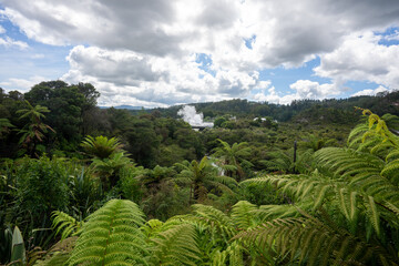An erupting geothermal geyser in Rotorua New Zealand