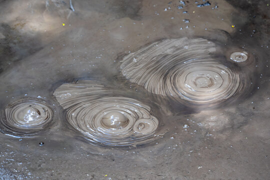 Bubbling Geothermal Mud Pools In Rotorua New Zealand