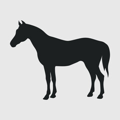 Horse Silhouette SVG Cut File, Animal Svg, Horse Lover Svg, Horse Running Svg, Standing Horse, Prancing Horse Svg, Stallion, 
