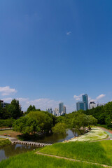 Obraz premium central park in Seoul, Korea