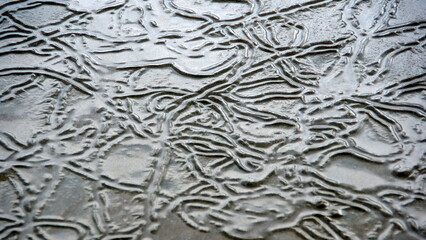 Lines made by snails in the sand on the beach, in Canoa, Ecuador