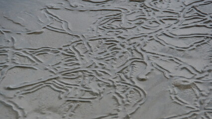 Lines made by snails in the sand on the beach, in Canoa, Ecuador