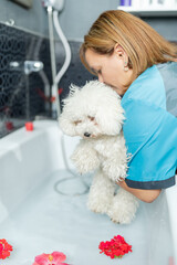 Woman putting a dog in a bathtub to wash it in a dog salon