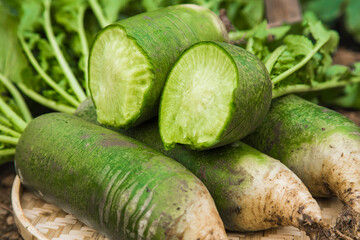 The green turnips in the vegetable patch
