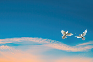 Doves in the air symbol of faith over blue background