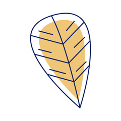 yellow leaf ecology foliage