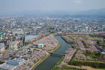 Hakodate,Hokkaido,Japan on April 29,2018:Cherry trees along the moats of Fort Goryokaku as seen from Goryokaku Tower