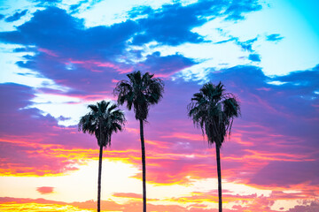 Obraz na płótnie Canvas 3 Palms Sunset 6162022