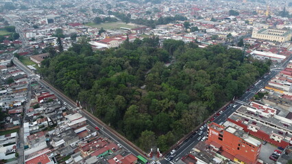 Fototapeta premium Parque Francisco Gabilondo Soler Cri-Cri (Parque Alameda)