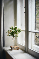 A bouquet of jasmine flowers in a wine glass on a windowsill. Vertical photo.