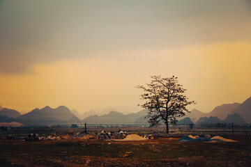 Beautiful sunset on lake background and scenery landscape