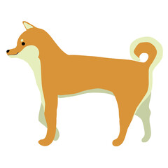 歩く柴犬のイラスト素材