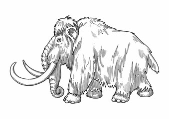 Graphic a mammoth in a side view isolated on white background. - obrazy, fototapety, plakaty