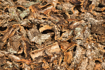 Group of pieces of cork recently removed from a cork oak. Concept trees, cork, agriculture, corking.