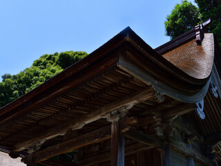 Fototapeta na wymiar 檜皮葺屋根と彫刻装飾が美しい社殿