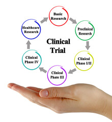 Six Components of Clinical trail