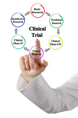 Six Components of Clinical trail