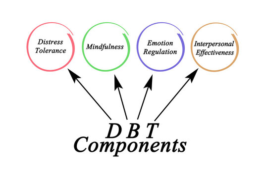 Four Components of DBT