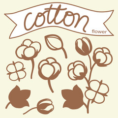 Cotton flower for decoration.