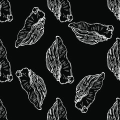 Shell pattern in a one line style. Outline of the plant: Black and white engraved ink art shells. Sketch wild flower for background, texture, wrapper pattern, frame or border.