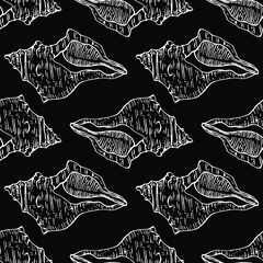 Shell pattern in a one line style. Outline of the plant: Black and white engraved ink art shells. Sketch wild flower for background, texture, wrapper pattern, frame or border.