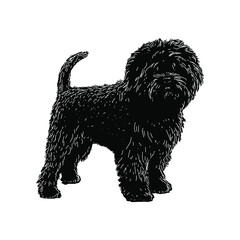 Affenpinscher hand drawing vector illustration isolated on background