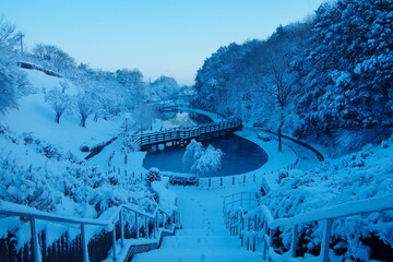 白色に染まった公園