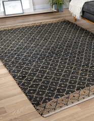 Modern geometric living area rug interior room rug design.