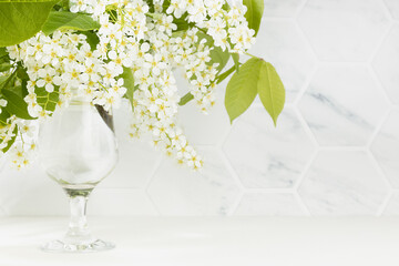 Fresh scented summer bouquet of white bird cherry branch with lush bunches of tiny flowers in glass vase in elegant white interior of living room with marble tile wall wood table, copy space, closeup.