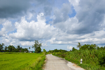 Fototapeta na wymiar ky, rain clouds and roads in rural rice fields in southern Thailand