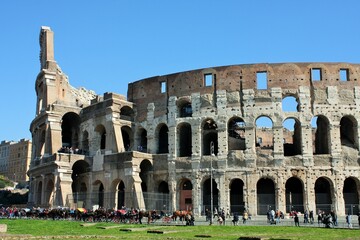 the colosseum - Rome