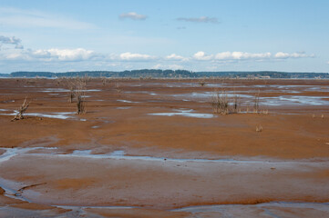 Muddy desert in the Billy Frank Jr. Nisqually National Wildlife Refuge, WA, USA