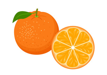 Orange and slice vector icon. Cartoon flat illustration of fresh citrus fruit.