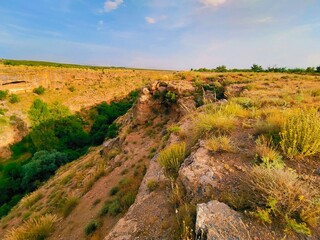 path in the field