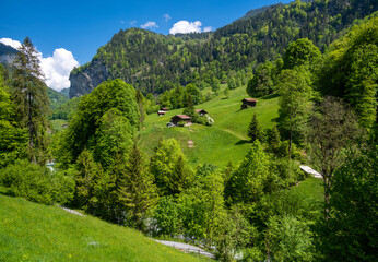 amazing alpine landscape in the village of Lauterbrunnen with green meadow in Switzerland