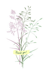 A cute bouquet of blades of grass, a summer collection of different herbs with a piece of paper with an inscription glued on. On a white background