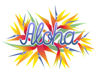 Aloha lettering text with strelitzia flower background. Vector Illustration.