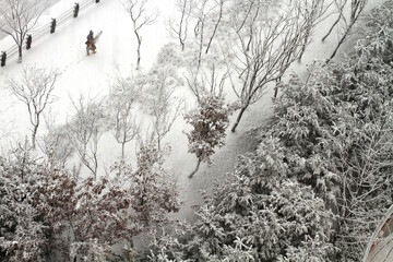 눈이내리는풍경