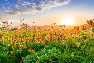 picturesque highland landscape with amazing view from hill with golden grass and green bushes
