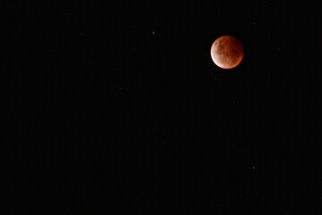 Blood Moon