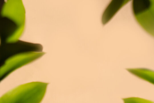 Abstract backdrop. Beige background with green leaves in soft focus making frame. Minimalistic natural backplate for placing design to the centre. Mockup, flat lay, top view