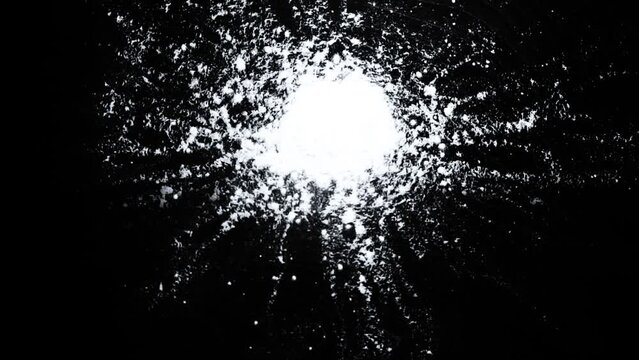 Gold dust particles fly in slow motion in the air lingering slowly. Dust Particles Background Bokeh Lights Background on Black Background 4k Footage Snow Particles Background.