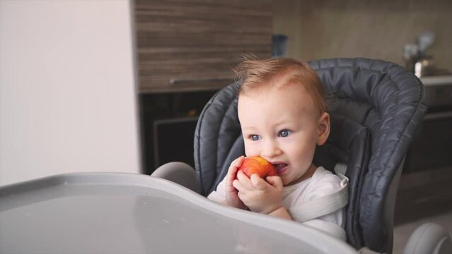 Baby boy with chubby cheeks enjoys eating fresh apple. Hungry kid holds big fruit with hands sitting on the children chair.