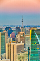 Asian Destinations. City inTwilight From Upper Point of Picturesque Tokyo City Skyline During Blue Hour